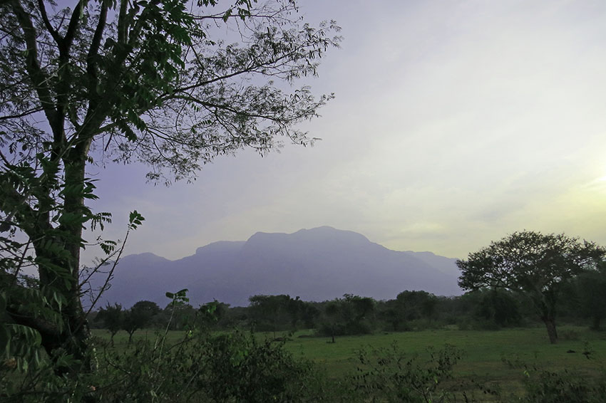 taml nadu sunset